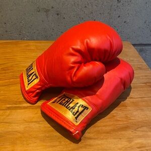 Everlast Boxing gloves for a costume